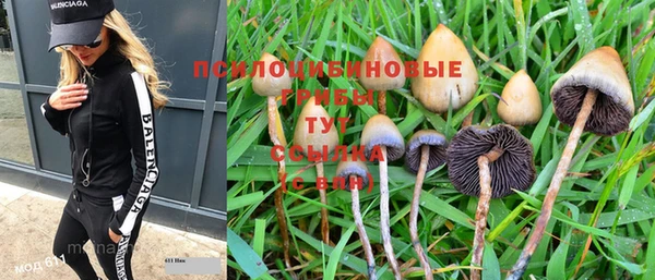 MESCALINE Белокуриха