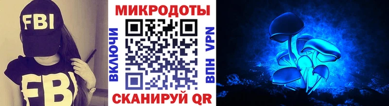 Галлюциногенные грибы Psilocybine cubensis  наркотики  Шуя 